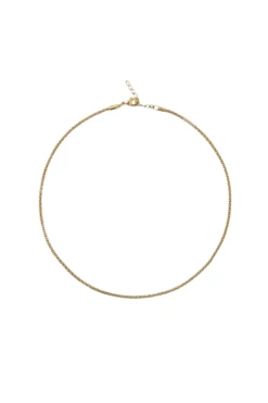 Caroline Svedbom Petite Rope Necklace - Gold