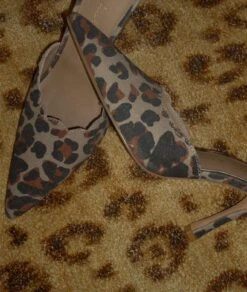 Never Fully Dressed Denim Scallop City Mules - Leopard -Lulu&M FullSizeRender 0cdf3c36 343d 4c16 8228 63691a46a1bd