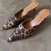 Never Fully Dressed Denim Scallop City Mules - Leopard 2 Never Fully Dressed Denim Scallop City Mules - Leopard -Lulu&M FullSizeRender 48699143 7f29 4532 9d1f 1004515fcdfe