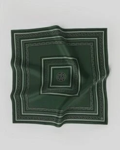 Lescarf Paisley Scarf - Green