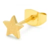 LULU Copenhagen Star Earring - Gold -Lulu&M Untitled design 392