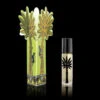 Ortigia Fico D'India Perfume Roll On - 10ml 2 Ortigia Fico D'India Perfume Roll On - 10ml -Lulu&M fico perfume oil web 41cac96c 109a 473a 9e53 95858db1bca0